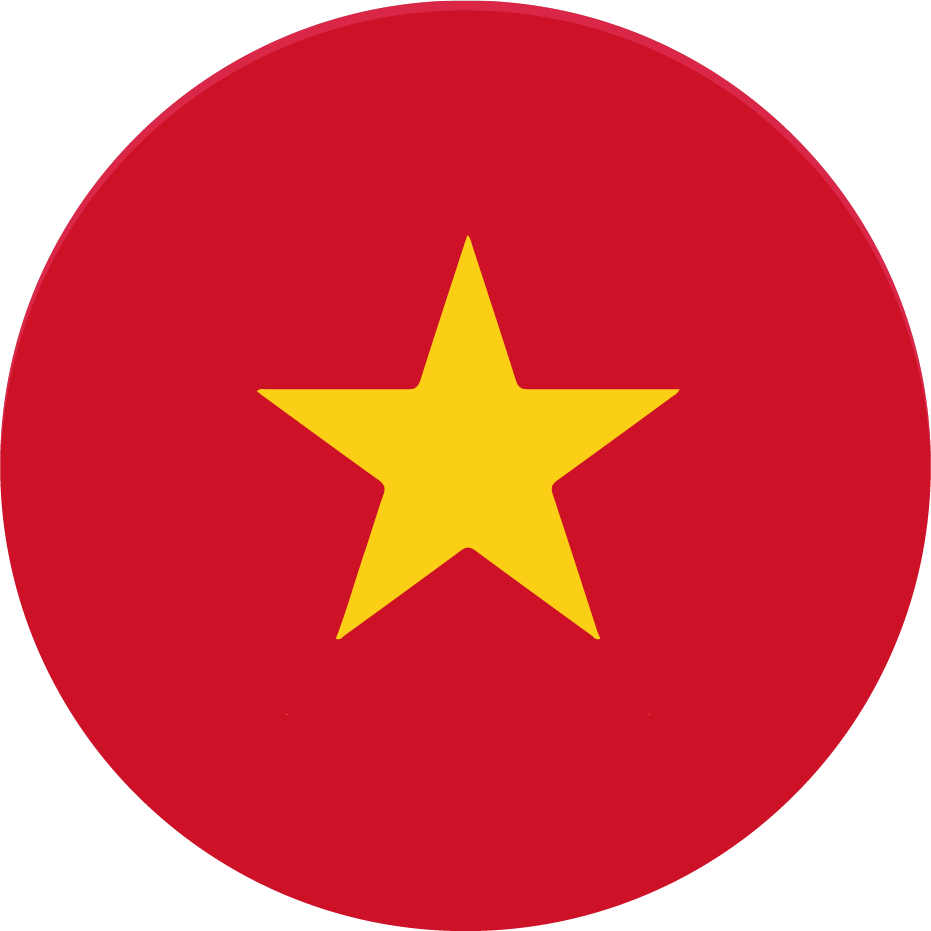 vn